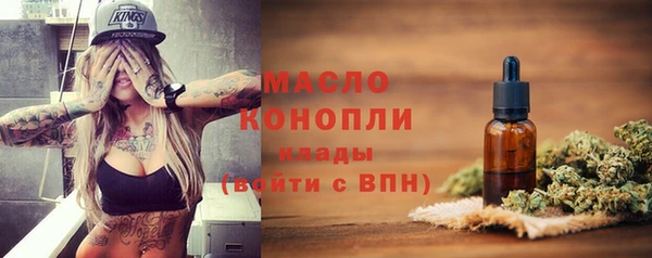 молекула духа Богородск