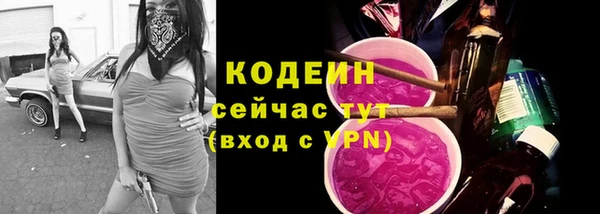 твердый Богданович