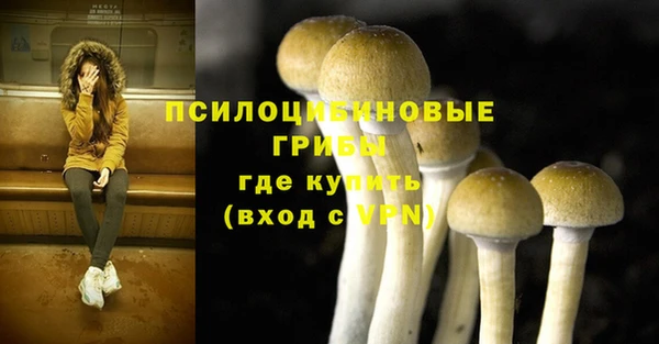 твердый Богданович