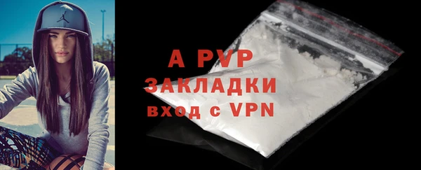 твердый Богданович