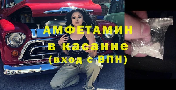 молекула духа Богородск