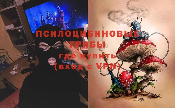 твердый Богданович