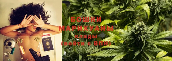 твердый Богданович