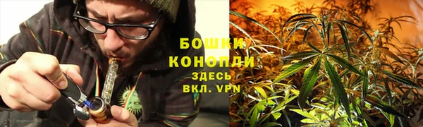 меф Богородицк
