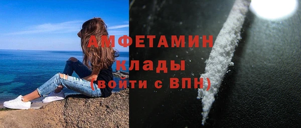 молекула духа Богородск
