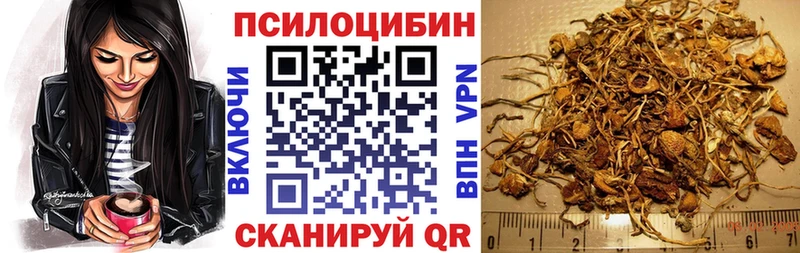 Псилоцибиновые грибы GOLDEN TEACHER  цены наркотик  Торопец 